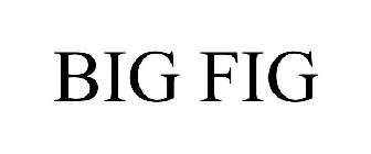 BIG FIG