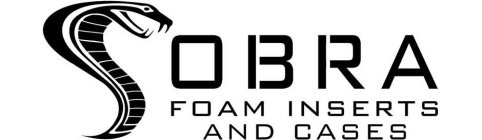 COBRA FOAM INSERTS AND CASES