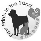 PAW PRINTS IN THE SAND