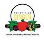 EVERY TING GINGER