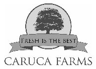CARUCA FARMS FRESH IS THE BEST