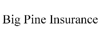 BIG PINE INSURANCE