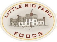 LITTLE BIG FARM FOODS