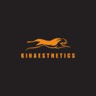 KINAESTHETICS