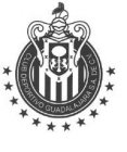 CLUB DEPORTIVO GUADALAJARA S.A. DE C.V.