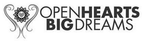 OPEN HEARTS BIG DREAMS