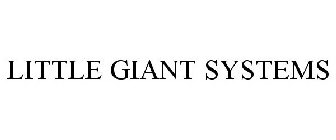 LITTLE GIANT SYSTEMS