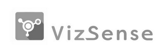 VIZSENSE