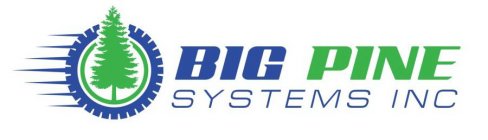 BIG PINE SYSTEMS INC