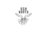 ECO ROOTS