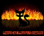 PYROCAT PHOTO/GRAPHIC