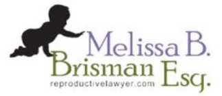 MELISSA B. BRISMAN ESQ. REPRODUCTIVELAWYER.COM