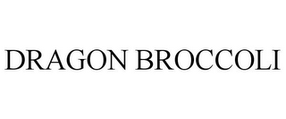 DRAGON BROCCOLI