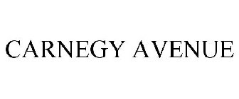 CARNEGY AVENUE