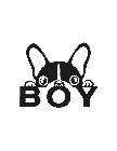 BOY