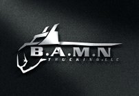B.A.M.N. TRUCKING LLC