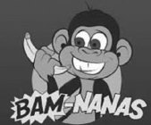 BAM-NANAS