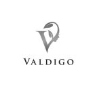 VALDIGO