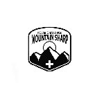 POLAR CHALLENGE MOUNTAIN SHARP
