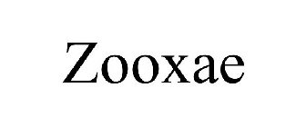 ZOOXAE