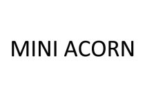 MINI ACORN