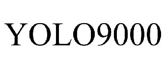 YOLO9000