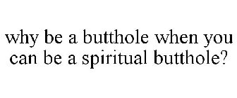 WHY BE A BUTTHOLE WHEN YOU CAN BE A SPIRITUAL BUTTHOLE?