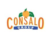 CONSALO GROUP