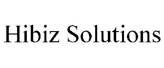 HIBIZ SOLUTIONS