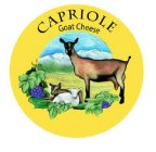 CAPRIOLE GOAT CHEESE
