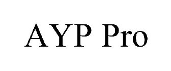 AYP PRO