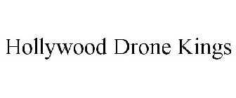HOLLYWOOD DRONE KINGS