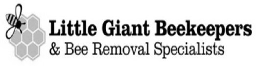 LITTLE GIANT BEEKEEPERS & BEE REMOVAL SPECIALISTS