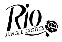 RIO JUNGLE EXOTICS