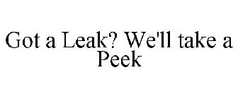 GOT A LEAK? WE'LL TAKE A PEEK