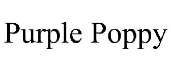 PURPLE POPPY