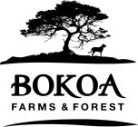 BOKOA FARMS & FOREST