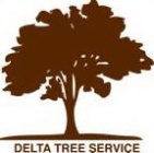DELTA TREE SERVICE