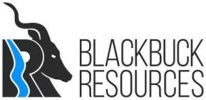 BLACKBUCK RESOURCES