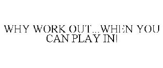 WHY WORK OUT...WHEN YOU CAN PLAY IN!