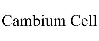 CAMBIUM CELL
