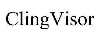 CLINGVISOR