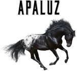 APALUZ