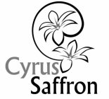 CYRUS SAFFRON