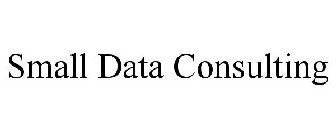 SMALL DATA CONSULTING