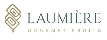 LAUMIÈRE GOURMET FRUITS