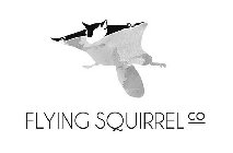 FLYING SQUIRREL CO