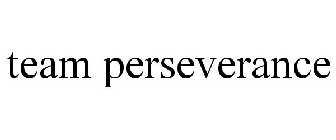 TEAM PERSEVERANCE