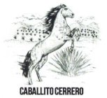 CABALLITO CERRERO