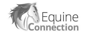 EQUINE CONNECTION